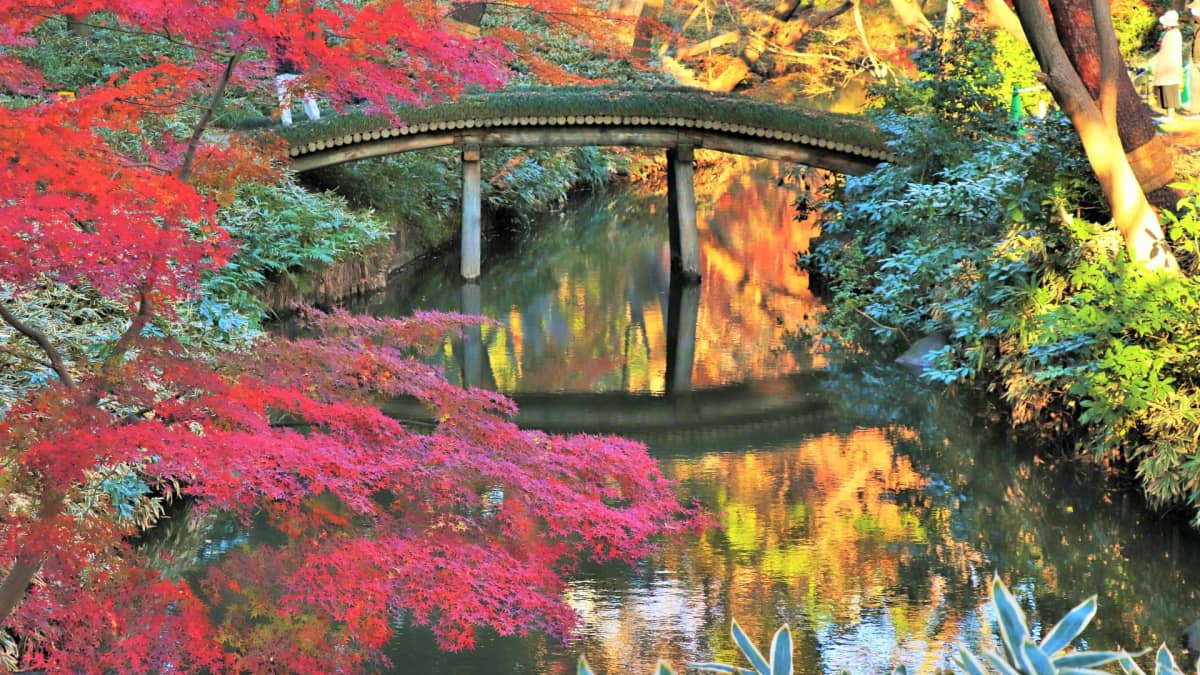 Rikugien Gardens