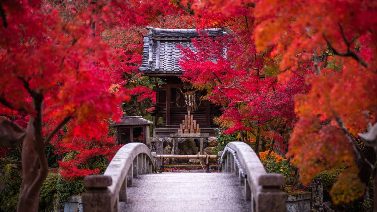 Eikando Temple