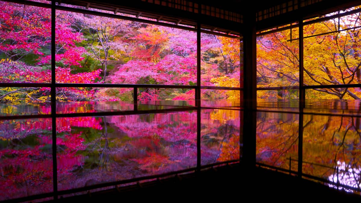 Kyoto’s Hidden Reflection Temple