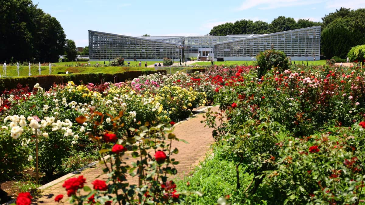 Jindai Botanical Gardens