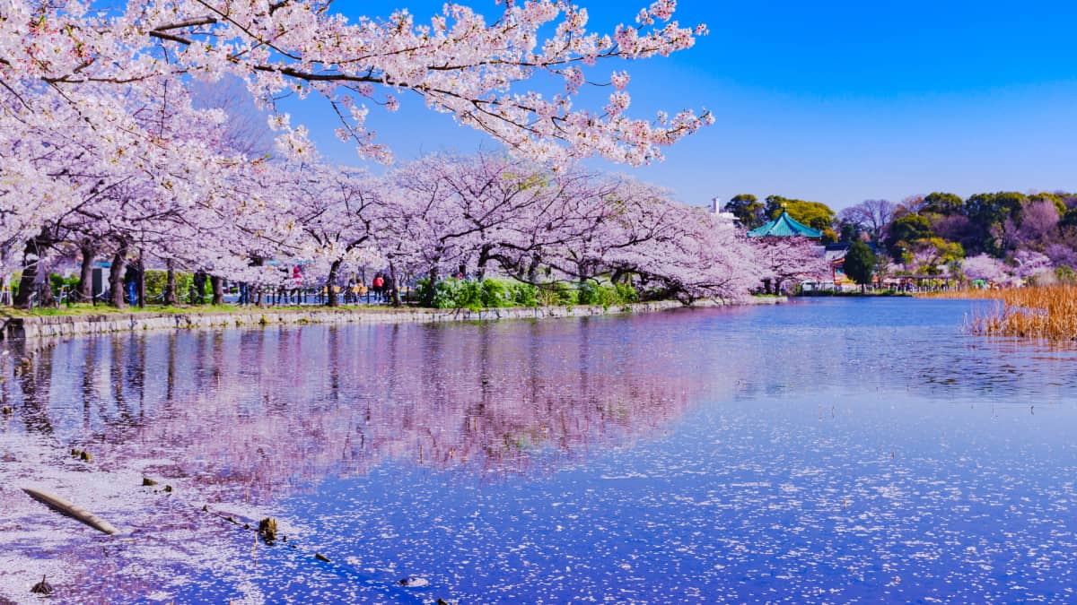 Ueno Park
