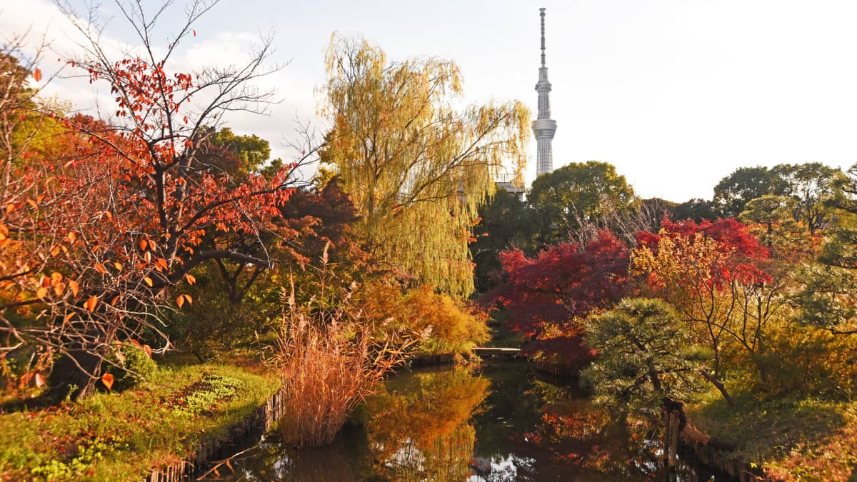 Mukojima-Hyakkaen Gardens