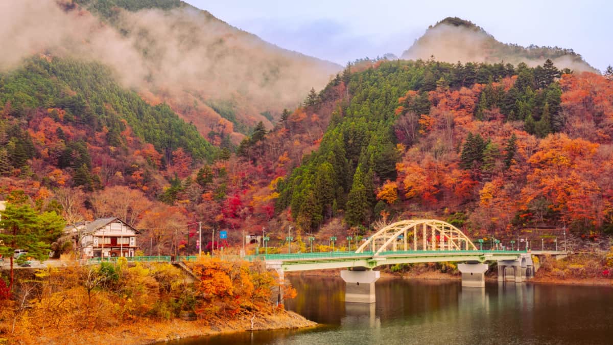 Lake Okutama