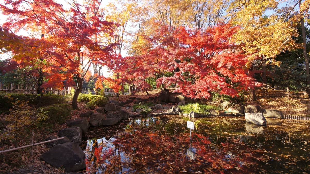 Fuchu no Mori Park