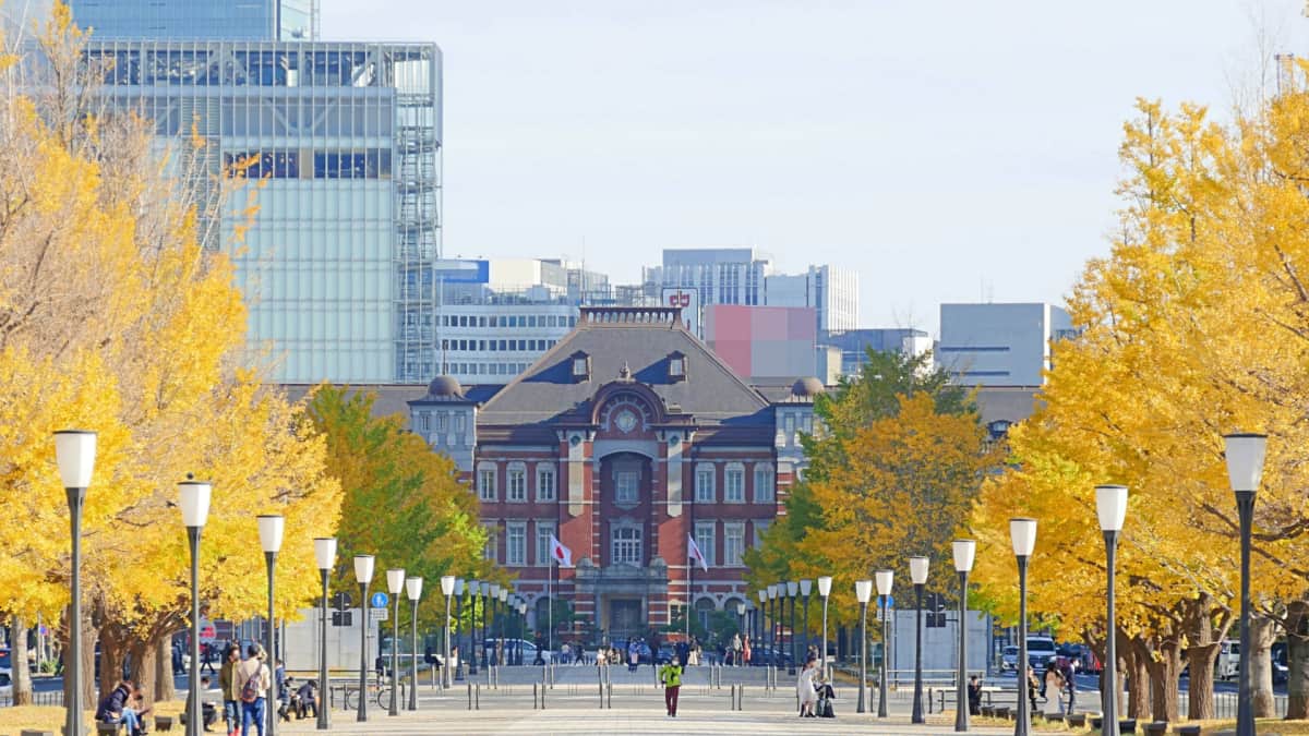 Gyoko-dori Avenue