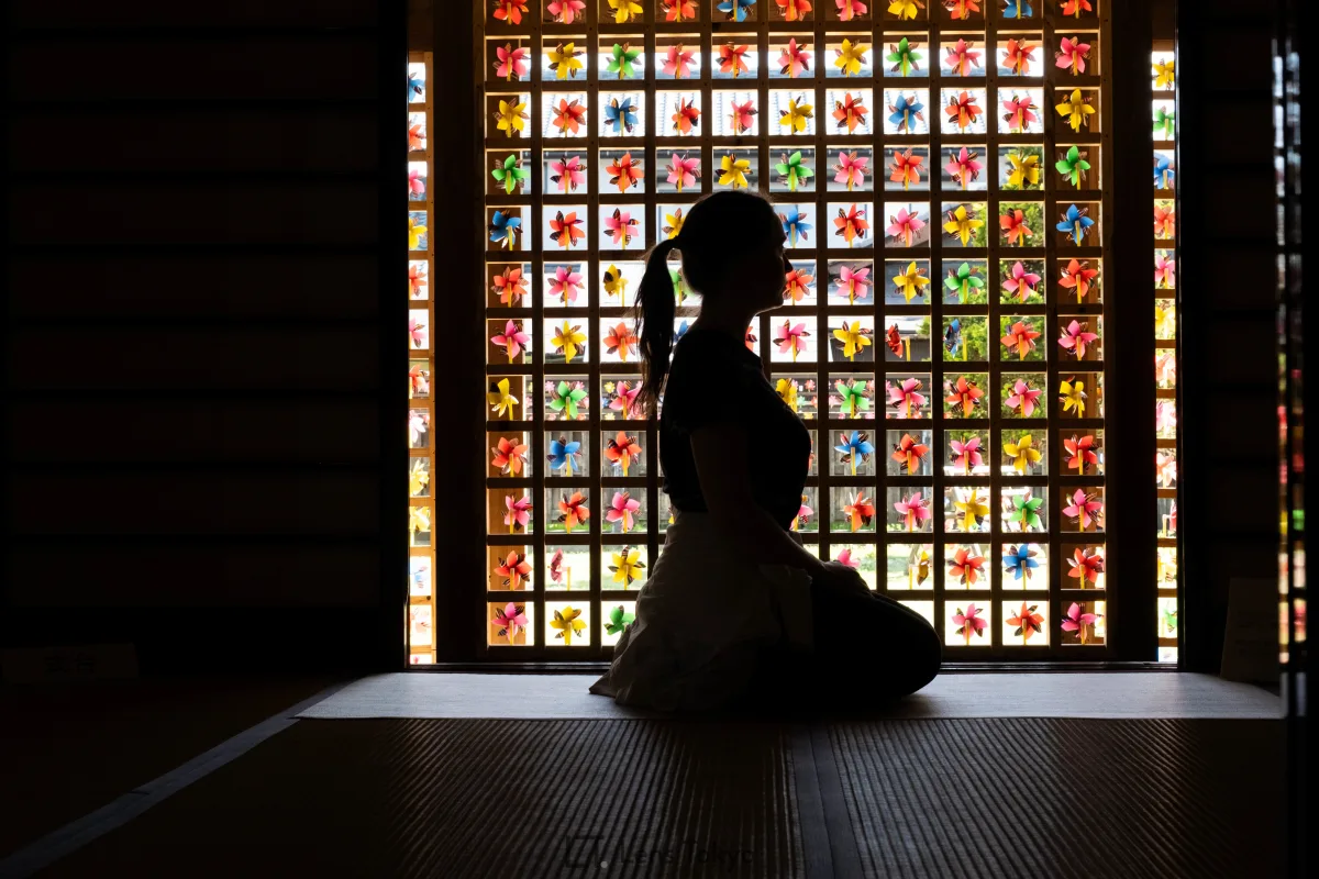 Colorful pinwheels against a silhouette