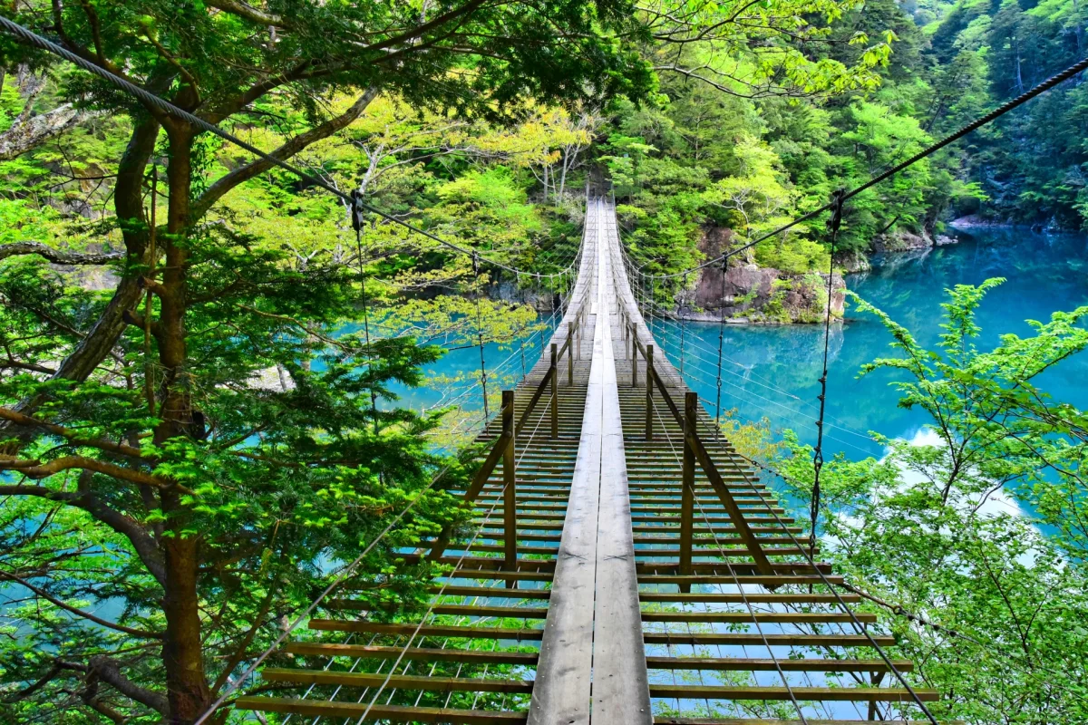 yume no tsuribashi suspension bridge in shizuoka japan