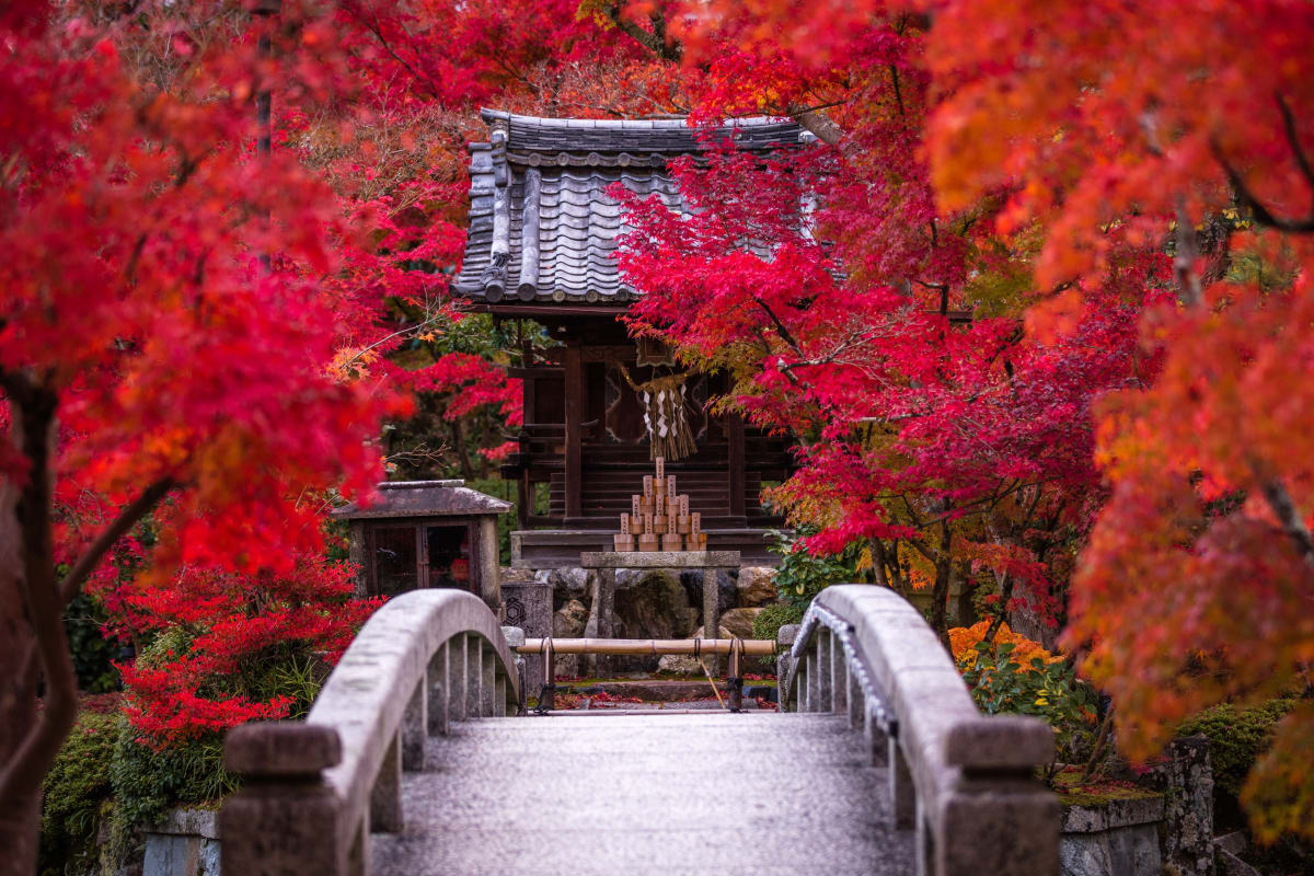Kyoto Autumn Leaves Guide: Must-Visit Temples and Hidden Retreats