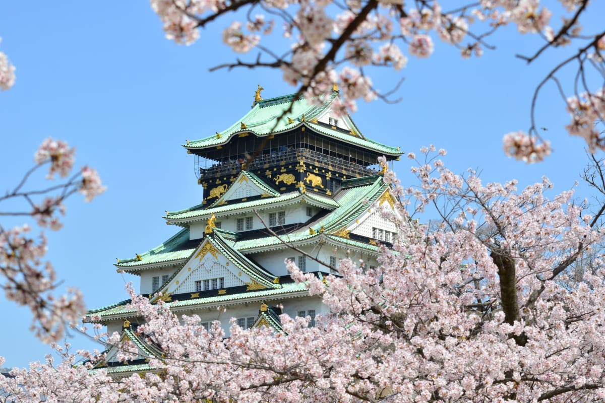 Osaka Castle Tour: Exploring 5 Must-Visit Castles in the Region