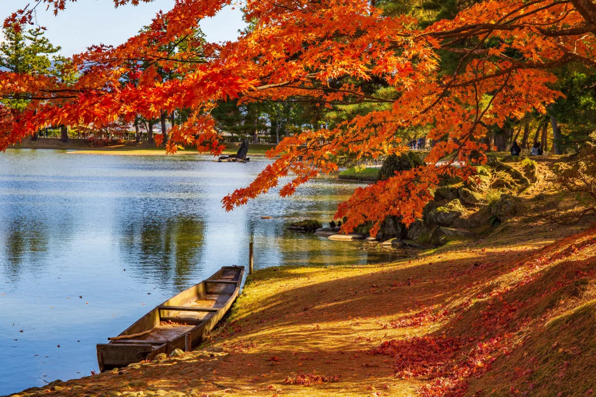 Revisiting CNN’s 31 Most Beautiful Places in Japan: A Modern Travel Guide