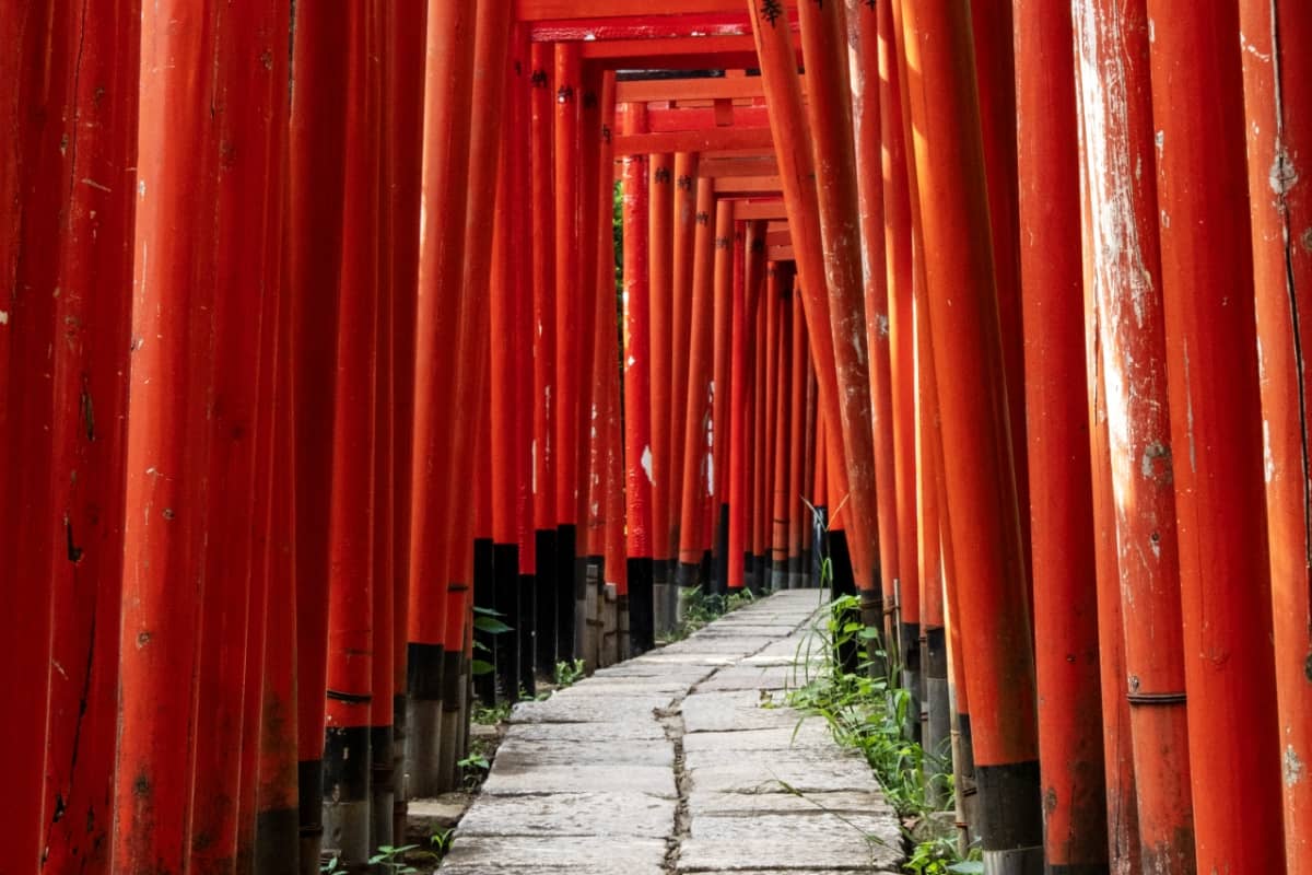 red torri gates and torii tunnel in nezu shrine, tokyo