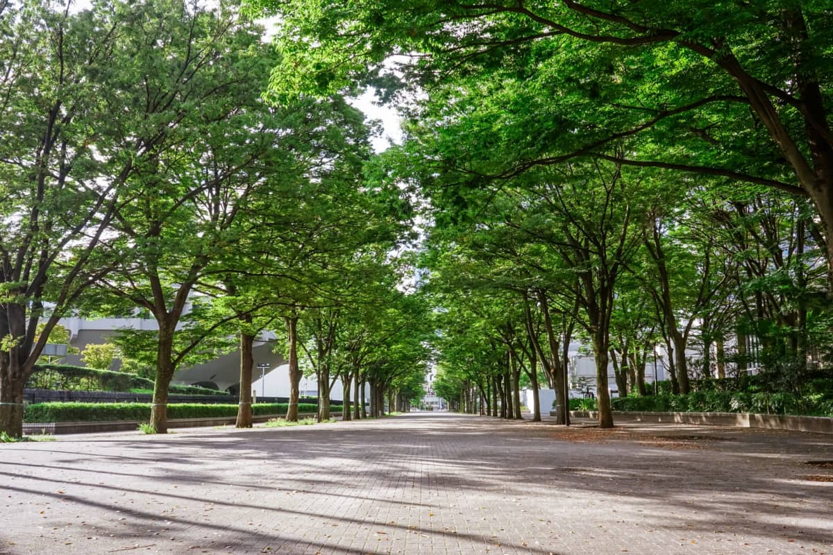 Yoyogi Park Tokyo - Best parks in Tokyo