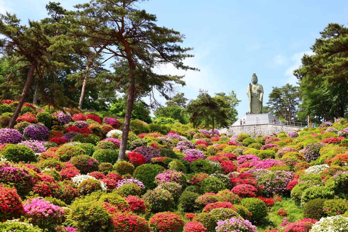 Shiofune Kannonji Azalea Festival - Tokyo azalea viewing spots