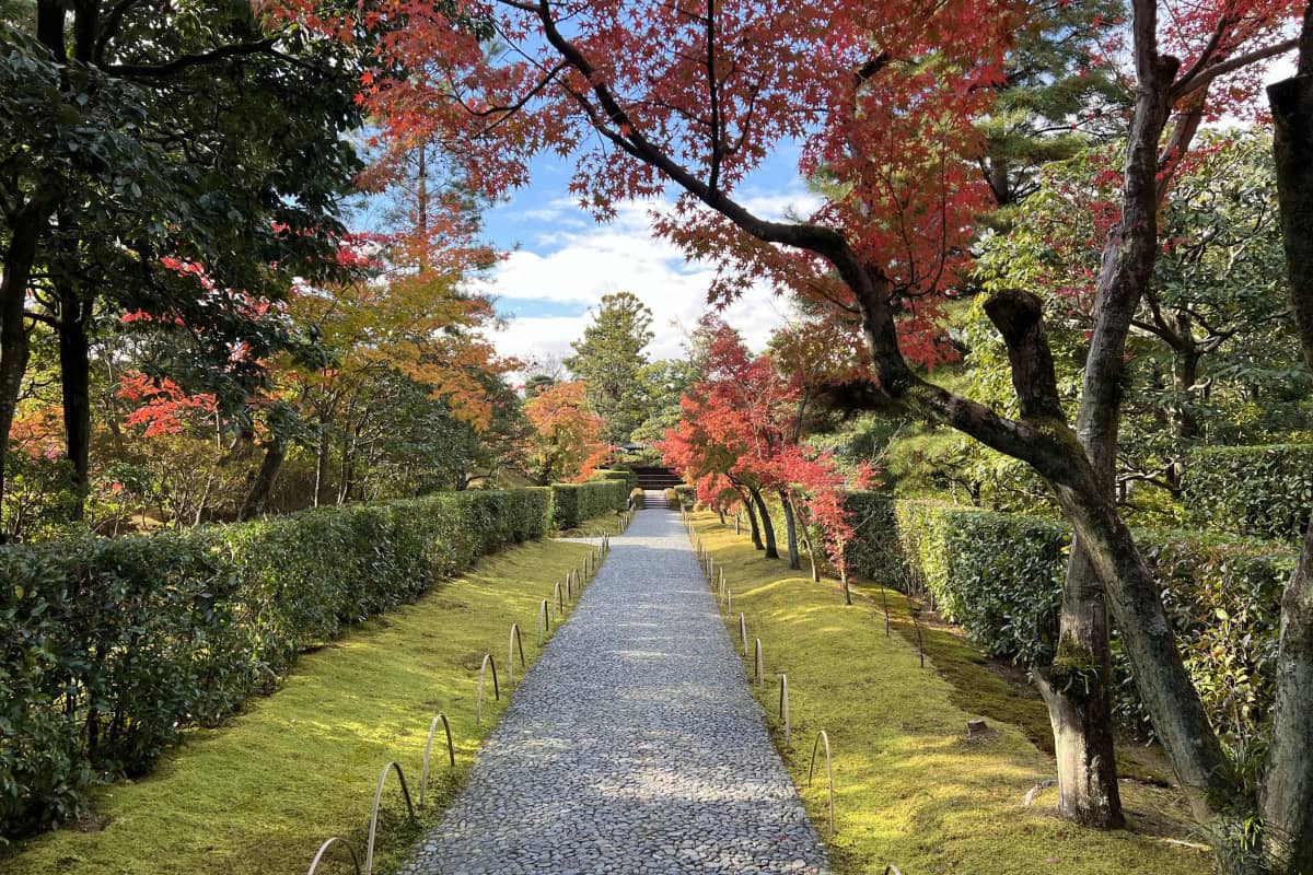 Katsura Imperial Villa - serene photogenic japanese garden in kyoto