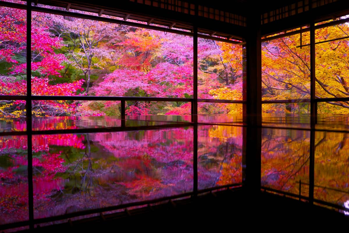 epic photo spot for japanese framed garden in autumn foliage