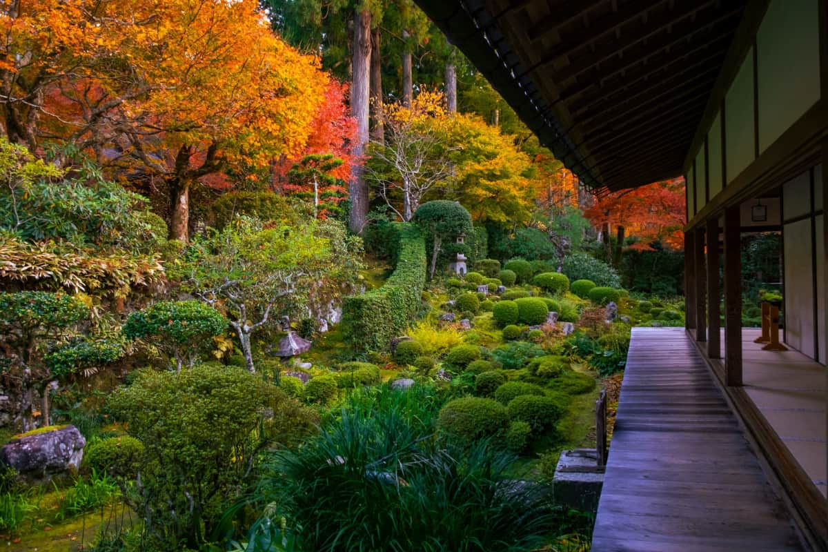 Sanzen in temple autumn foliage photo spot in kyoto