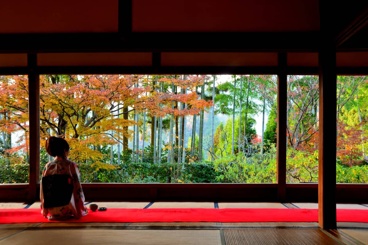 Hōsen-in Temple Kyoto - matcha tea experience in framed garden