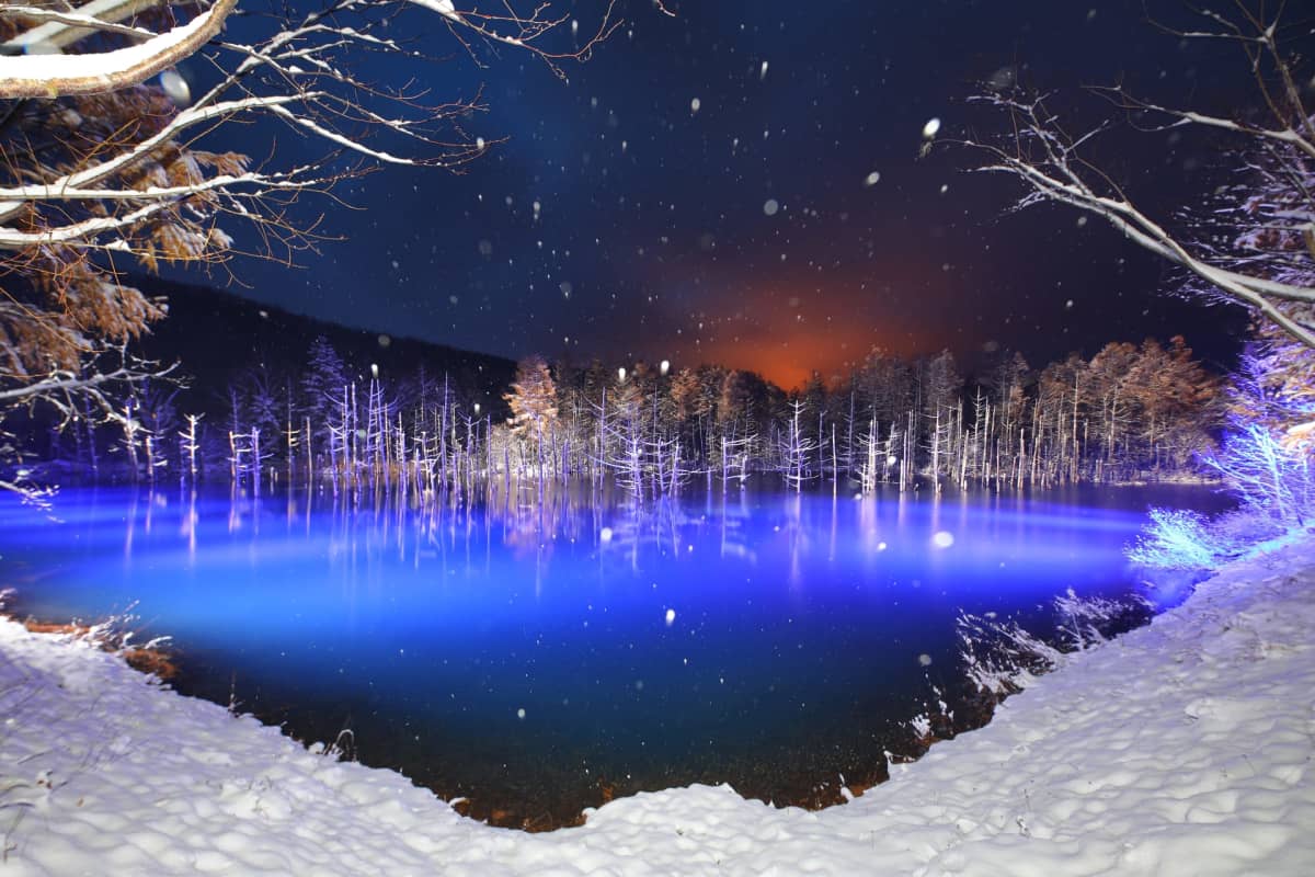 Blue pond with vivid turquoise water surrounded by trees in Biei, Hokkaido