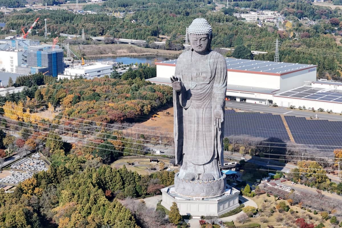 Visitors walking through the peaceful grounds of Ushiku Daibutsu, surrounded by seasonal flowers, gardens, and the towering bronze Buddha statue rising above the landscape in Ibaraki Prefecture, Japan.