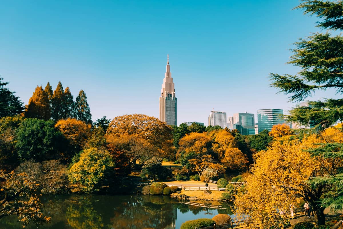 Wide lawns and mature trees creating a peaceful atmosphere in central Tokyo