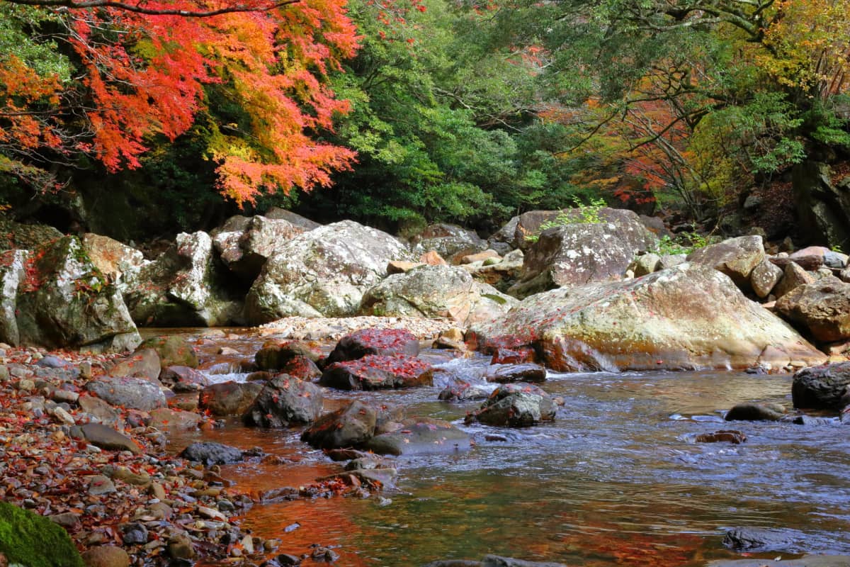 Scenic view of Kuroson Gorge with emerald river and forested valley.