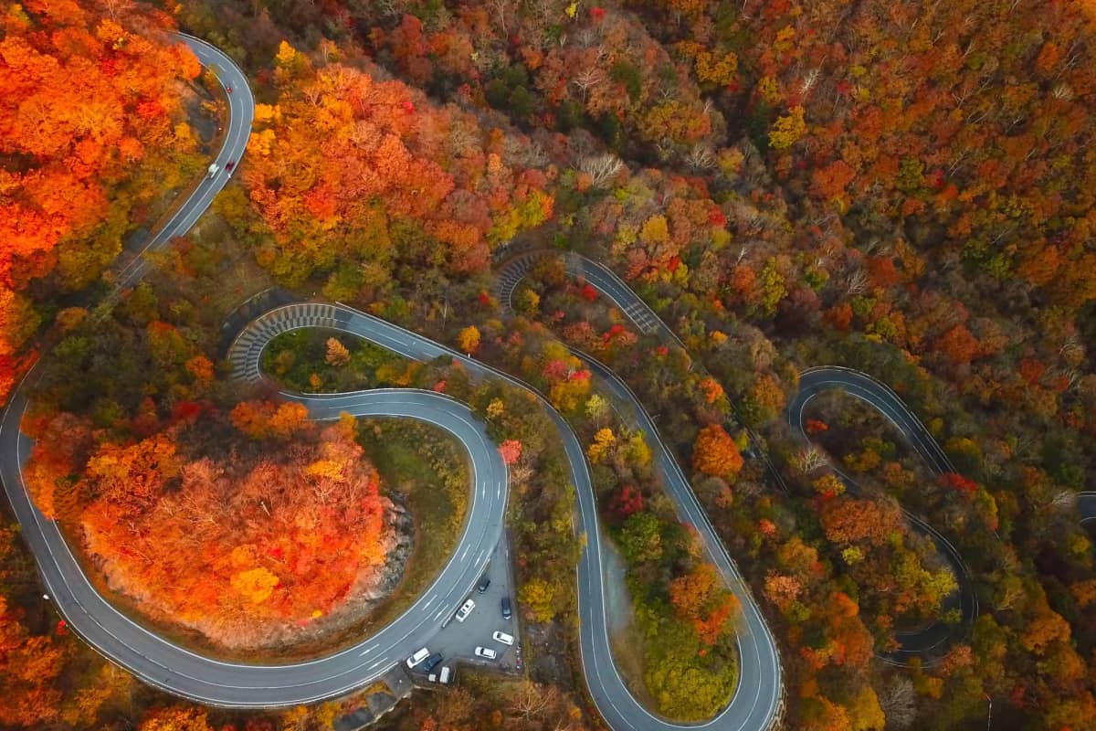Curving alpine road with scenic viewpoints in Nikko National Park.