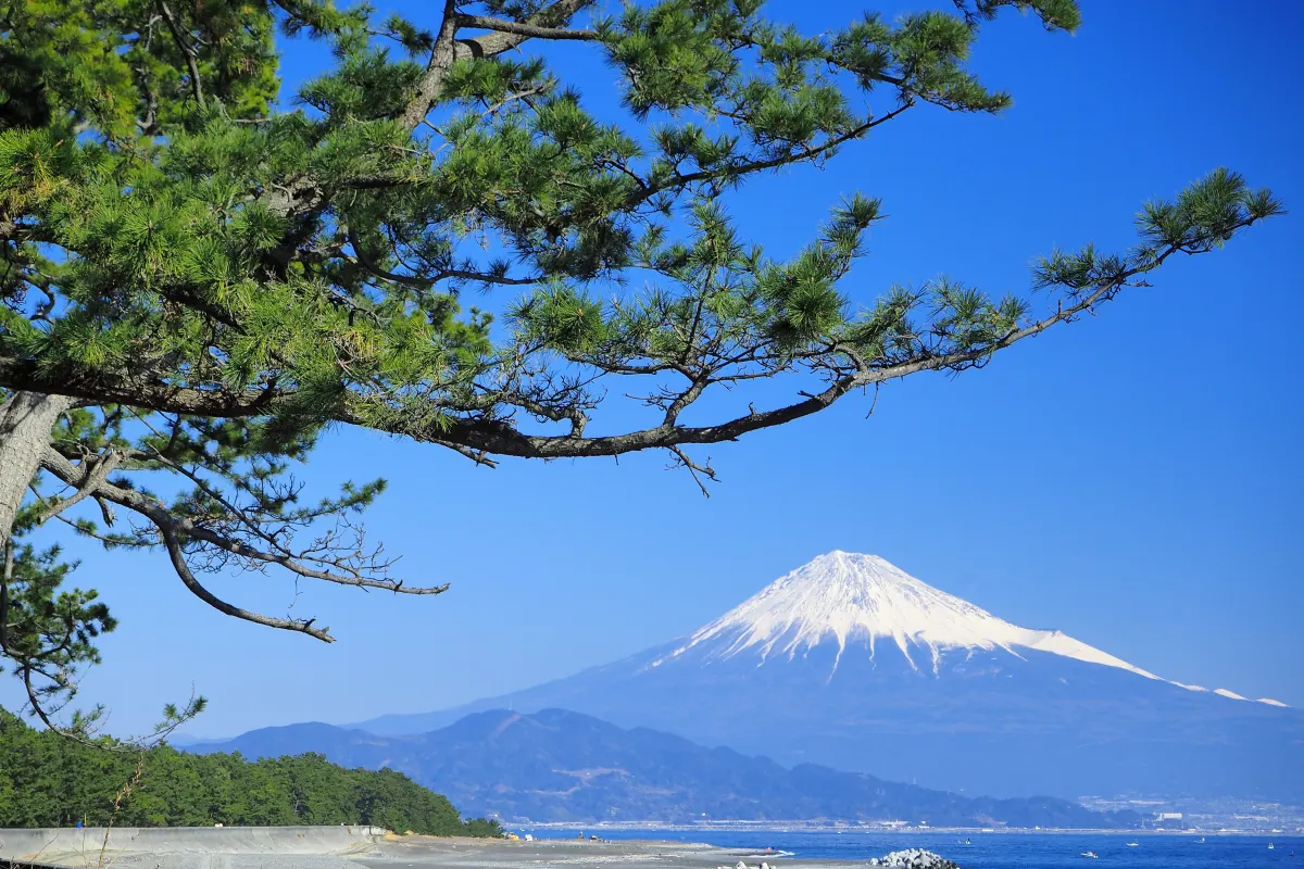 Miho no Matsubara a unesco heritage site in shizuoka