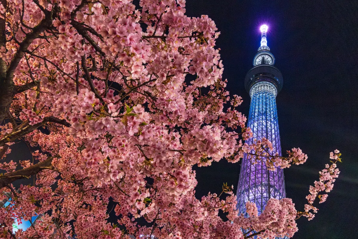 Tokyo Skytree, tallest building in Japan