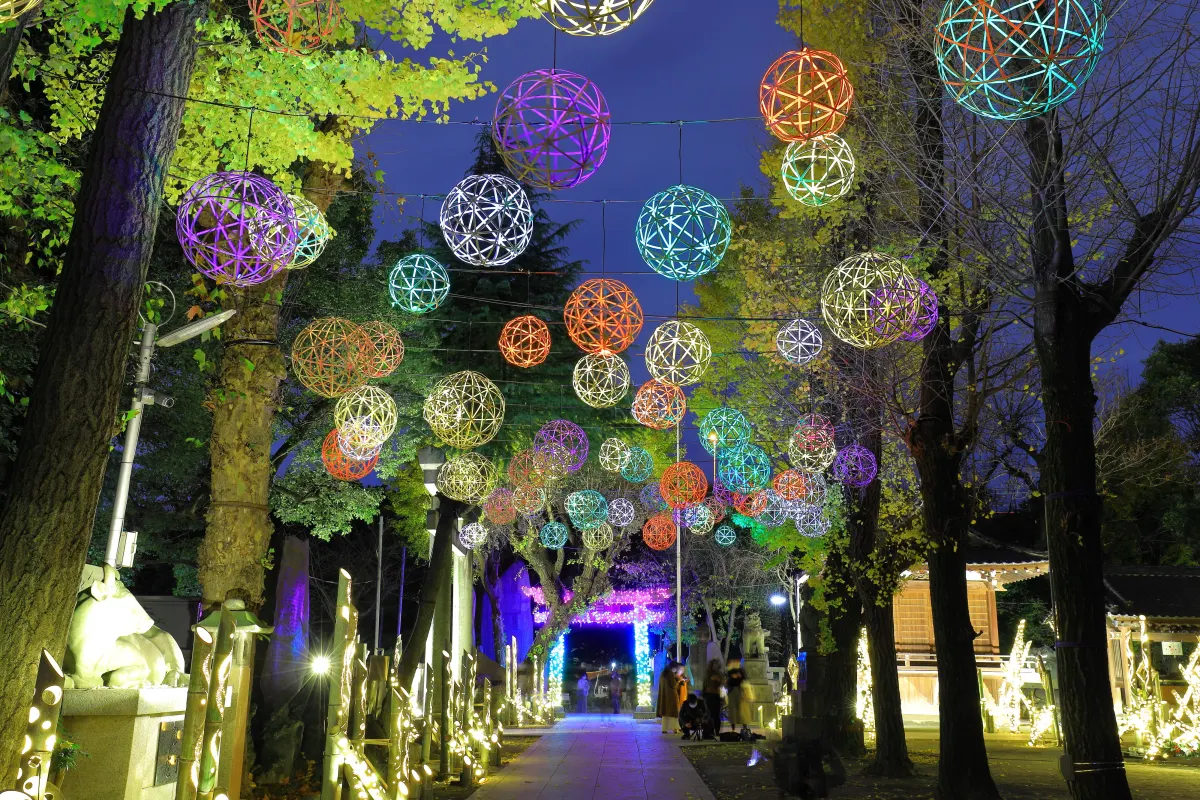 lanttern illumination cow shrine in tokyo