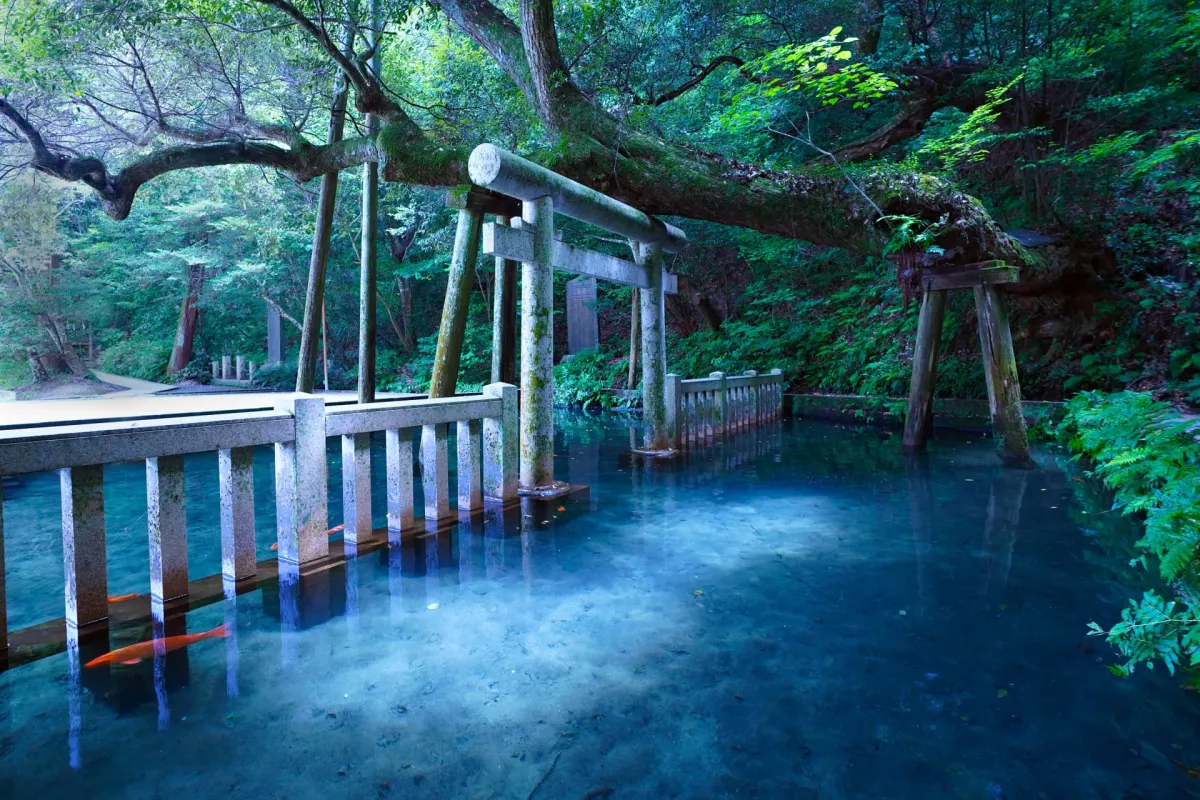 Kashima Shrine Ibaraki - Mitarashi Pond