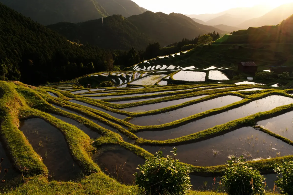 Maruyama Senmaida - Kumano rice terraces in Japan