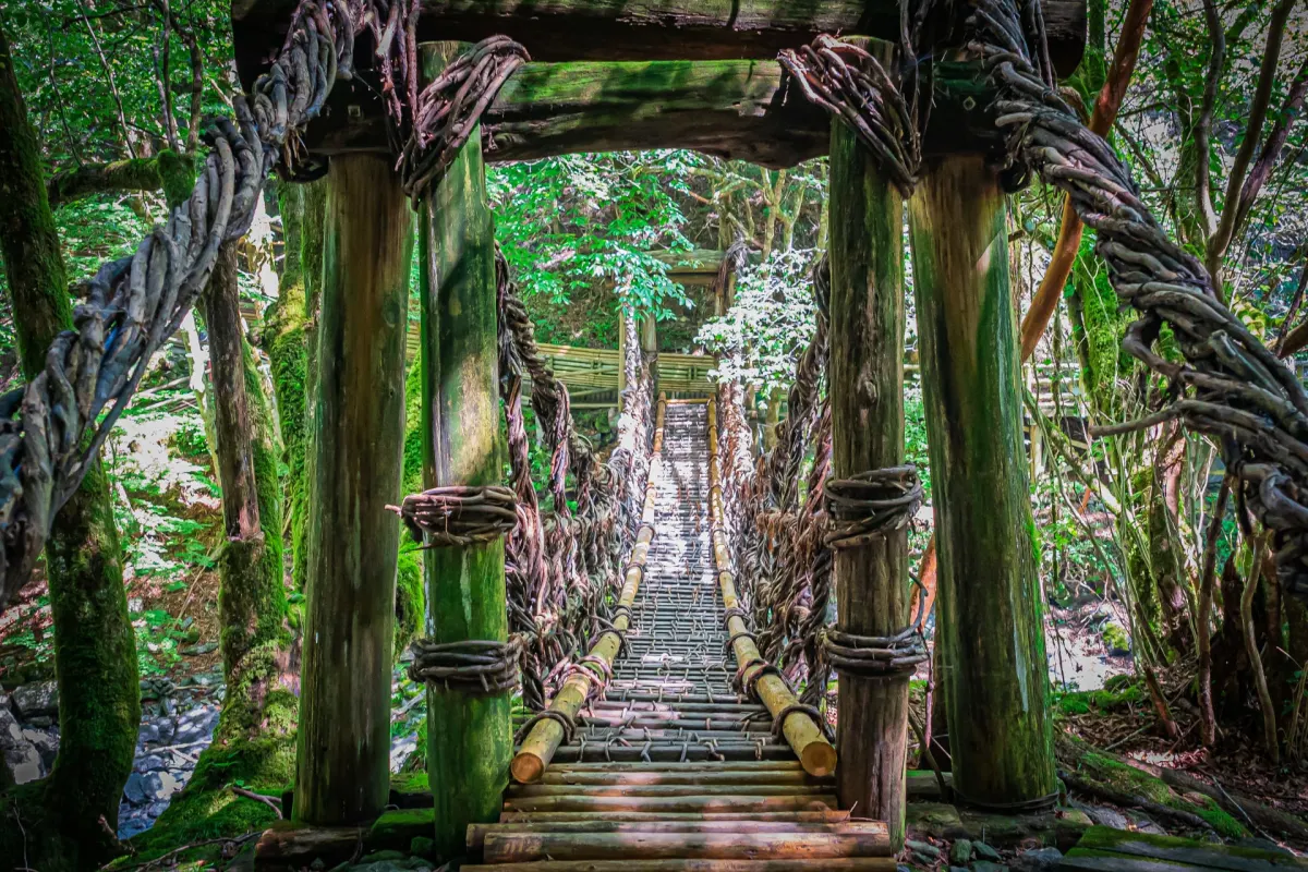 Oku Iya Double Vine Bridge - Double Vine Bridge Japan