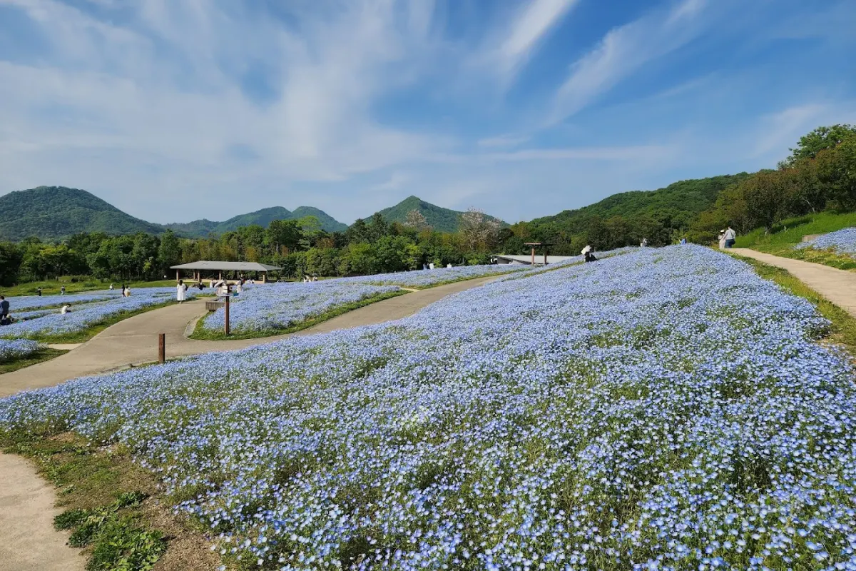 Sanuki Manno National Government Park - flower park in kagawa, japan