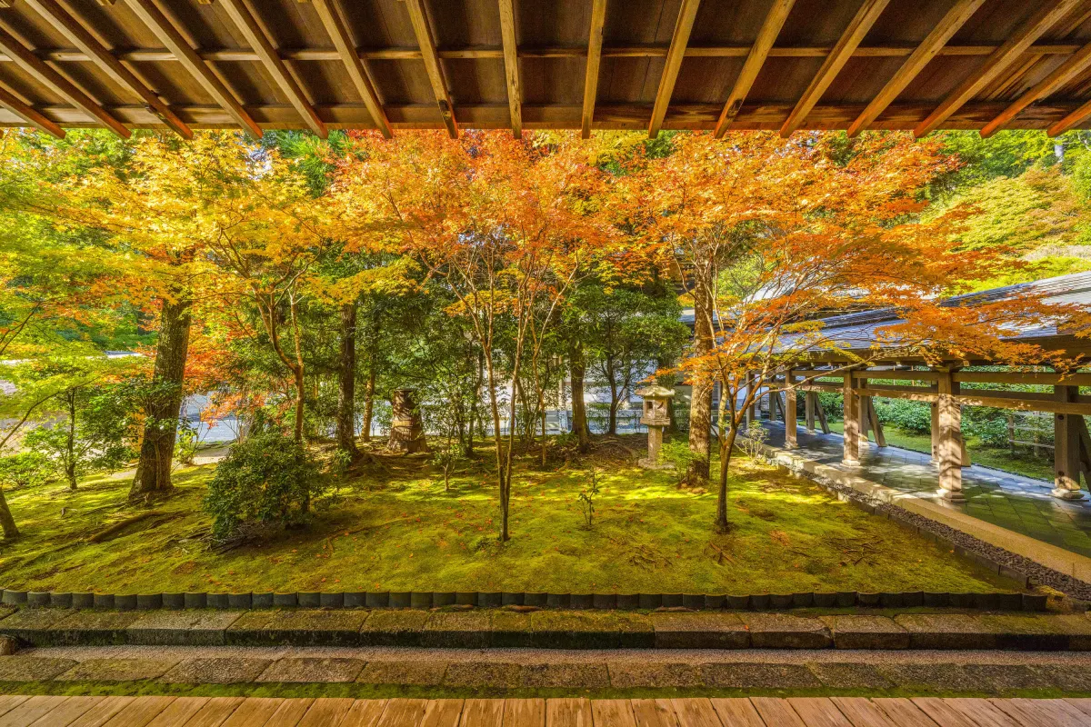 Ryoan‑ji Temple Kyoto - Japanese rock garden