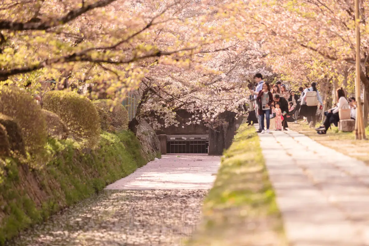 Philosopher’s Path Kyoto - Tetsugaku no Michi Kyoto walking path