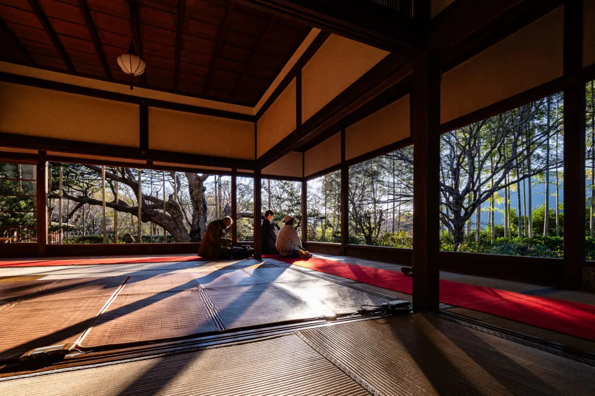 Hōsen-in Temple Kyoto - matcha tea experience in framed garden