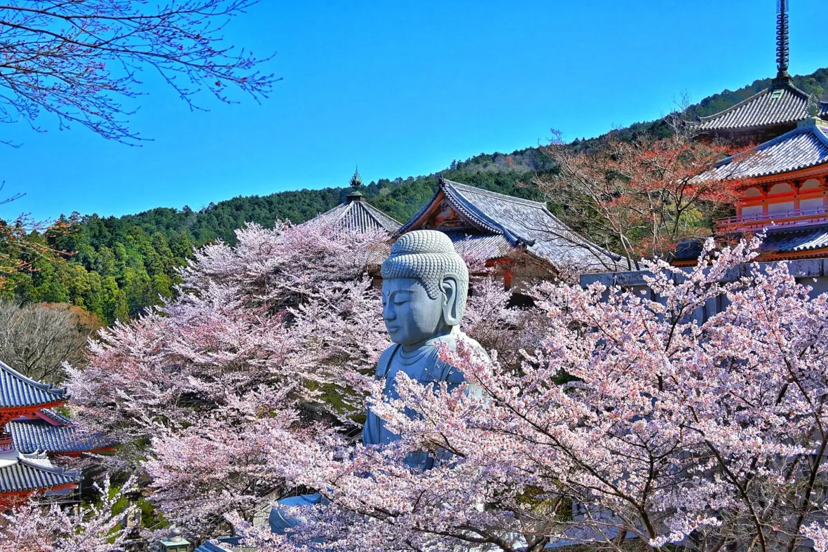 Tsubosaka‑dera Temple - Temple for Eye Healing in Nara