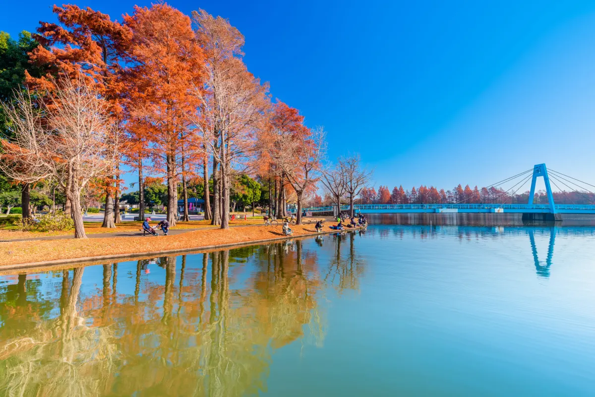 mizumoto park scenic and peaceful retreat in tokyo