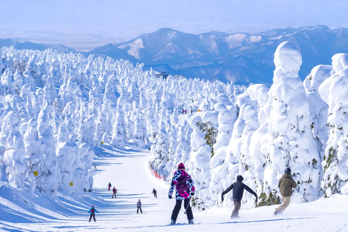 Snow-covered trees and ski runs at Zao Onsen Ski Resort, one of Japan’s most famous winter destinations