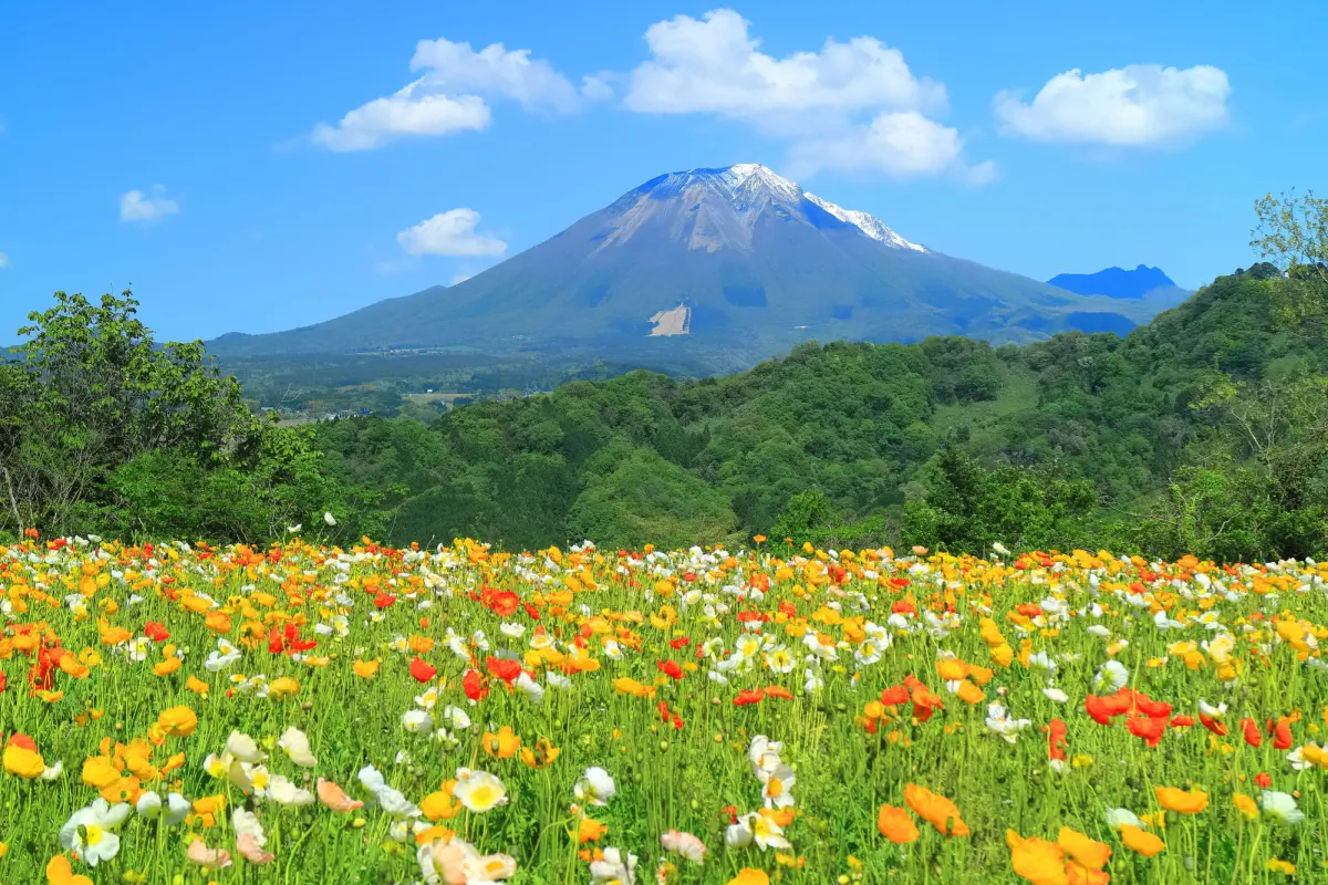 Mount Daisen’s scenic hiking trail winding through lush beech forests and ascending toward the mountain summit, showcasing one of western Japan’s most iconic volcanic peaks.