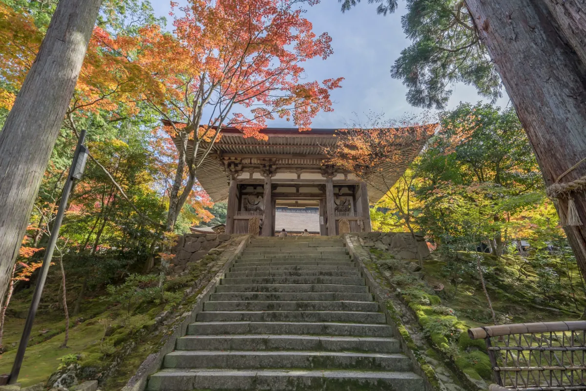Traditional Japanese temple architecture at Saimyoji Temple, featuring ancient cedar-lined pathways, lush moss, and seasonal scenery.