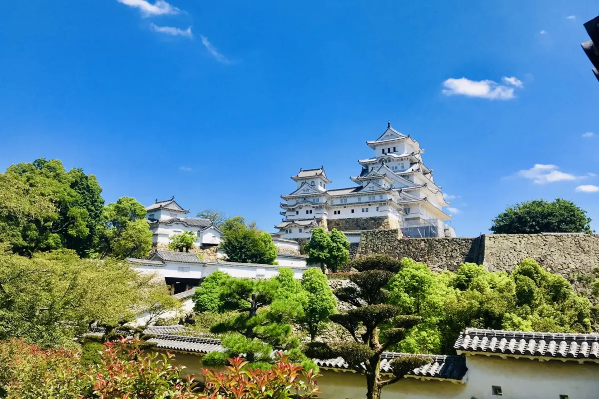 Panoramic view of Himeji Castle showcasing its elegant white architecture, defensive structures, and surrounding seasonal scenery.