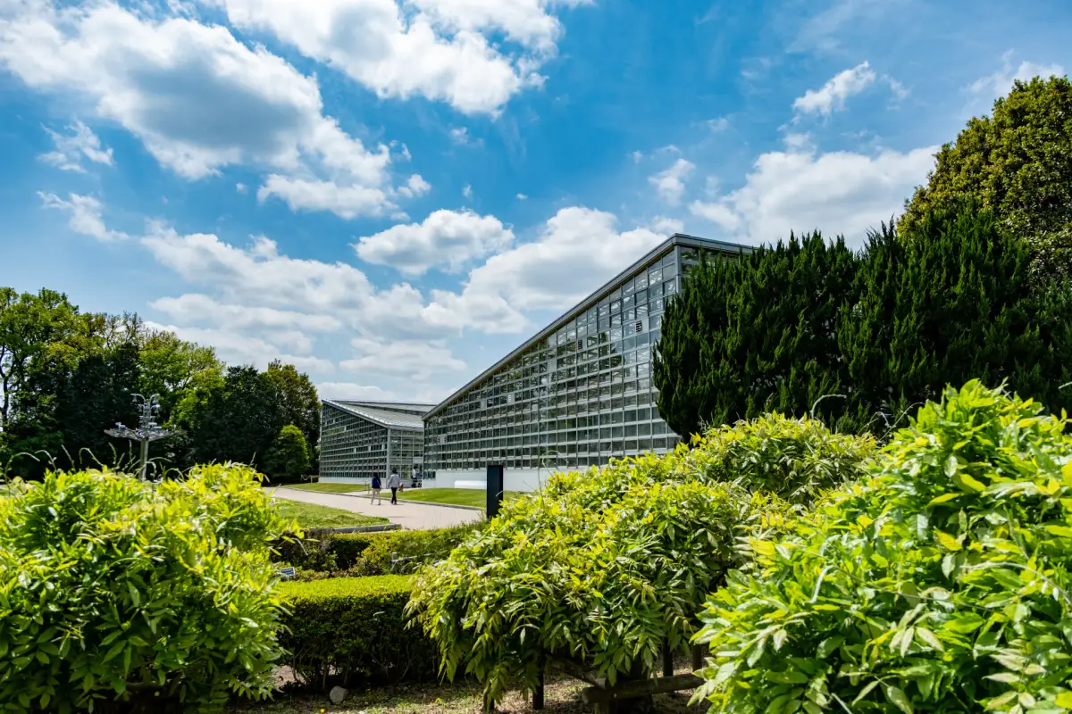 The greenhouse at Jindai Botanical Gardens featuring tropical plants