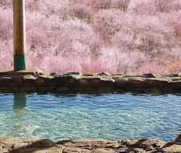 Onsen