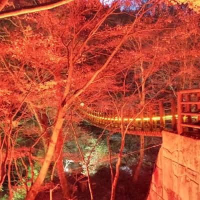Hananuki Gorge image