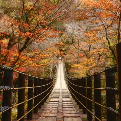 Autumn foliage on top of a gorge with a view in Ibaraki, Japan
