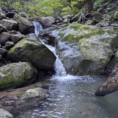 NageireDou image