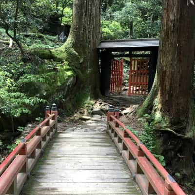 NageireDou image