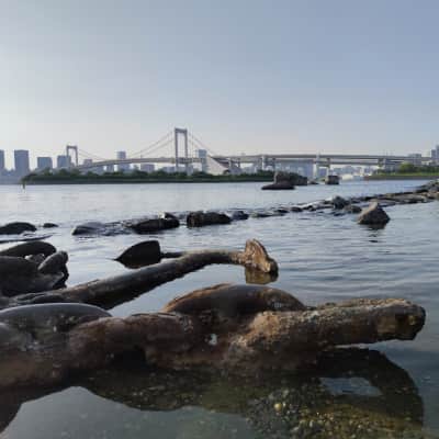 Odaiba Marine Park image