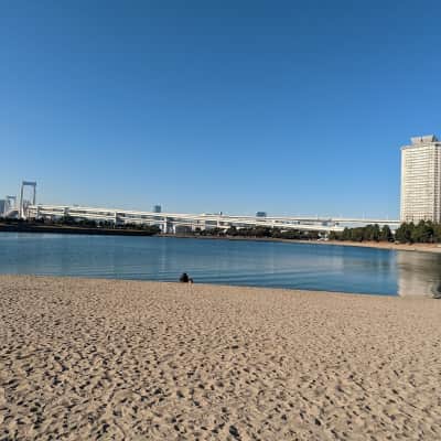 Odaiba Marine Park image